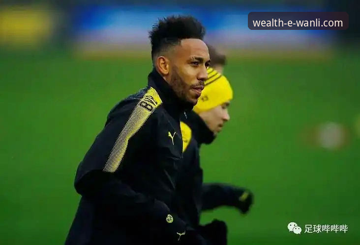 多特蒙德球探体系深度评测：从万利体育平台视角解析赫扎尔哈尼转会价值